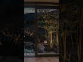 Gentle Rain & Lantern Light for Deep Relaxation 💤🧘♂️#rainsounds #asmr #rain #peace #sleep