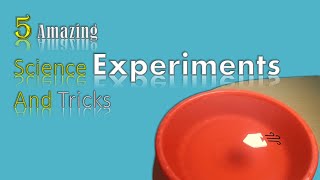 5 Amazing Science Experiments And Tricks || In Hindi ||