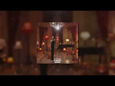 Alina Eremia - Nu te mai aștept (Split x DJ Yaang Remix)