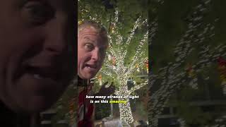 How many #christmas #xmaslights on tree?