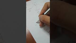 Типы слогов