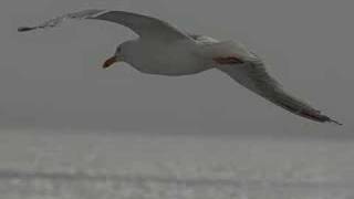 On The Beach - York Feat.atb