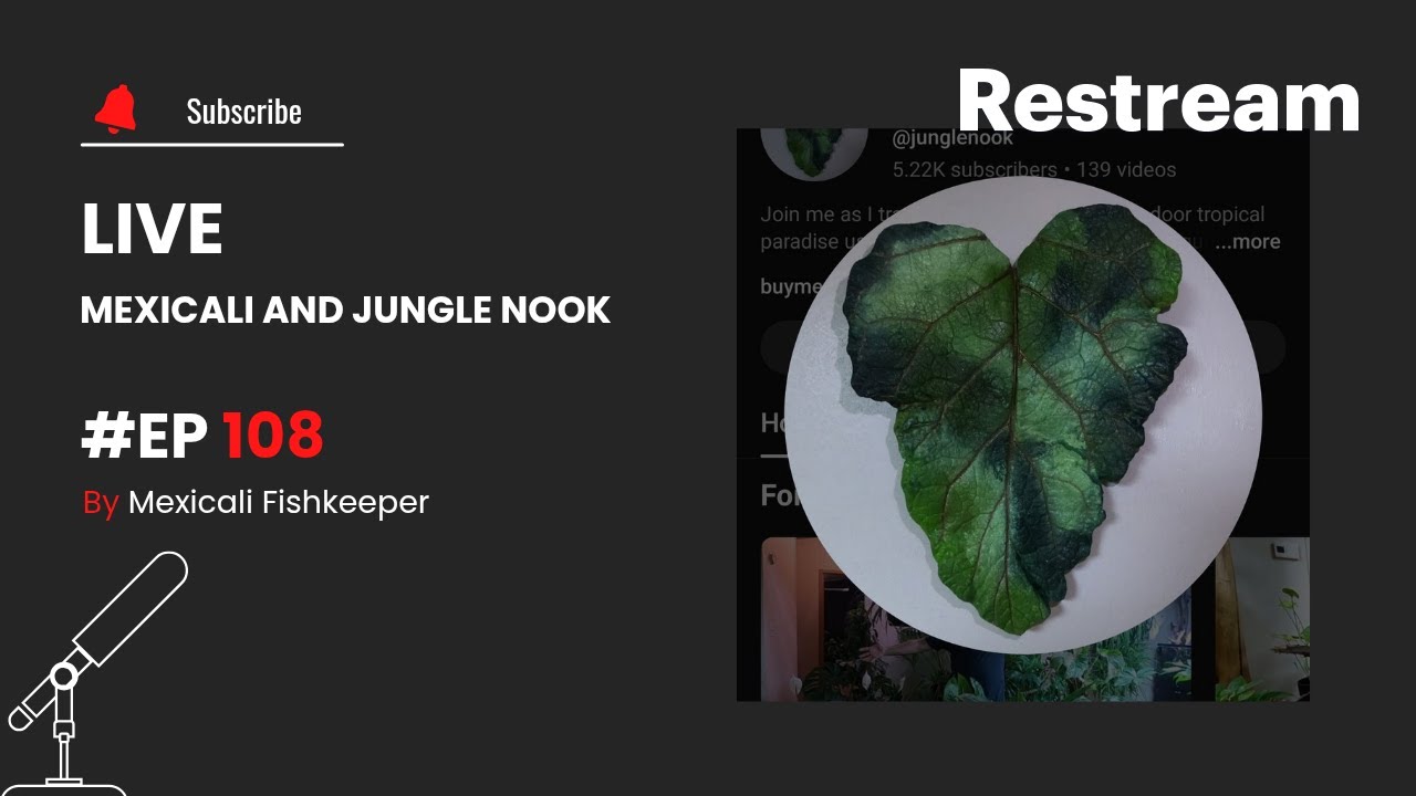 Ep 108 Mexicali and Jungle Nook