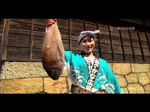 一色さかな広場　テレビCM