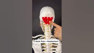 Your NERVOUS system could be causing neck pain + headaches. Try this out! #headaches #neckpainrelief