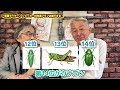 『仮面ライダー』ショッカーの改造プランは雑すぎる! #空想科学読本 #空想科学アカデミア #柳田理科雄