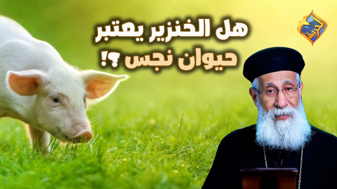 هل الخنزير يعتبر حيوان نجس 🐖⁉️🤔  #قناة_الحرية