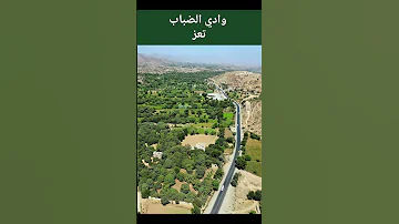 أيوب طارش وادي الضباب 