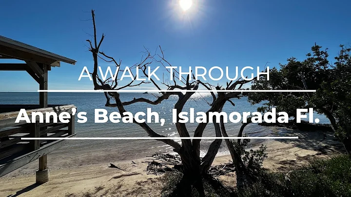 Anne's Beach Walking Tour | Islamorada Florida | T...