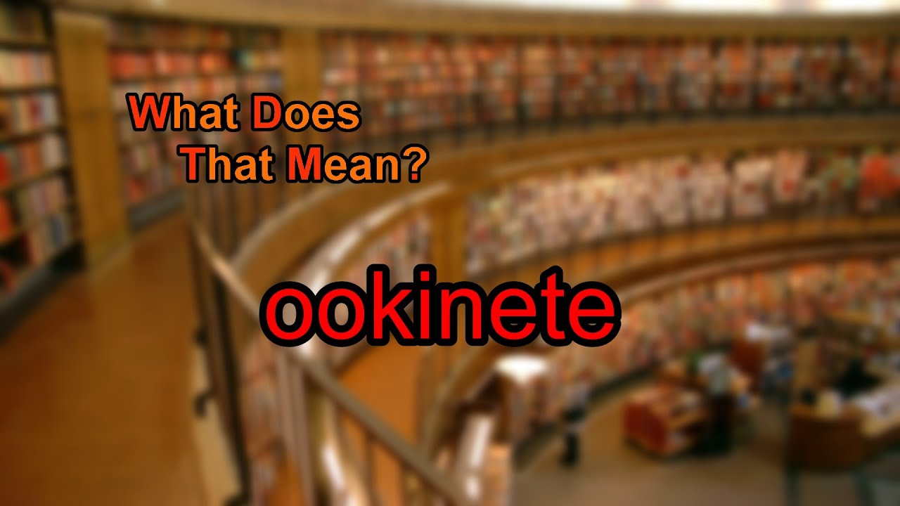 What does ookinete mean?