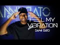 Feel My Vibration | Vol.35 | Danni Gato