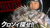 釣り方 クロソイを必ず釣るためのルアーフィッシング講座 初心者 Youtube 釣り方 クロソイを必ず釣るためのルアーフィッシング講座 初心者 Youtube