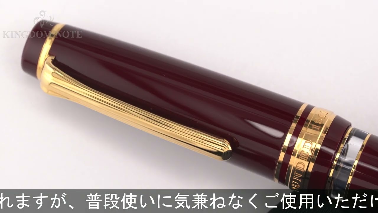 SAILOR セーラー 万年筆 プロフェッショナルギア レアロ マルン 中字