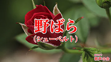 一緒に歌おう 野ばら シューベルト 日本語 おうちで歌声の会 