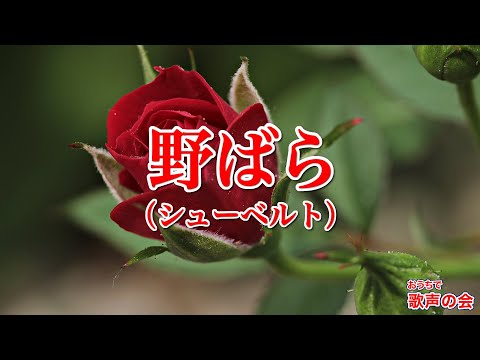 少年少女のための合唱曲集　野ばらの花束　杉並会議編　音楽之友社会 一緒に歌おう】野ばら／シューベルト（日本語／おうちで歌声の会