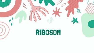 BIOLOGI SEL||RIBOSOM