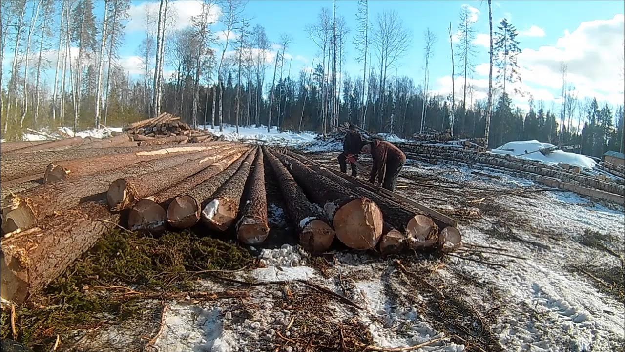 Как получить бесплатную делянку