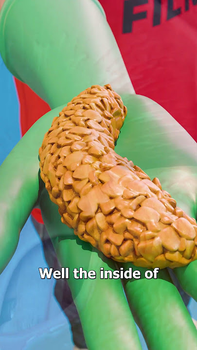 What Happens If You Only Eat Corn? 🤔