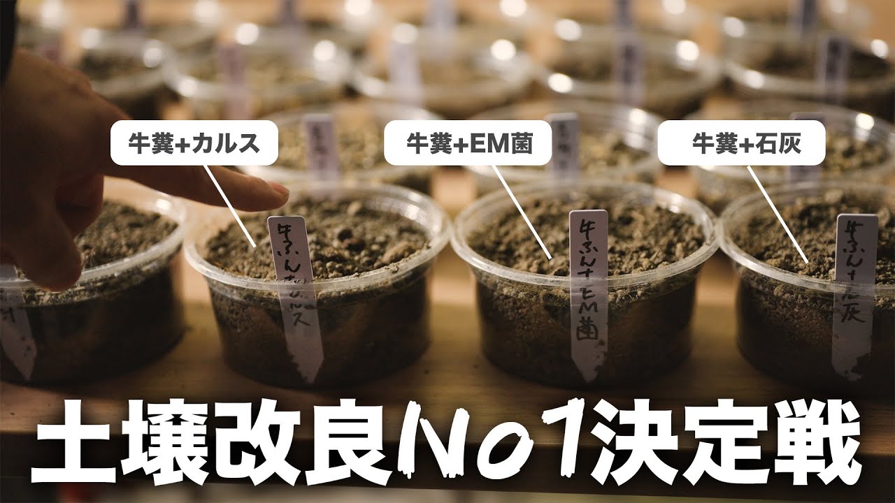 土づくり実験仕込みv-log動画
