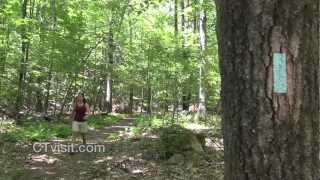 Connecticut's Blue Trails - Travels Through The Trees