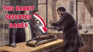 The history of vaccines