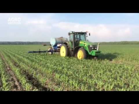 Video: Utilizarea Produselor Secundare Agricole Selectate Din Asia Pentru Modularea Microbilor Rumeni și A Fermentației