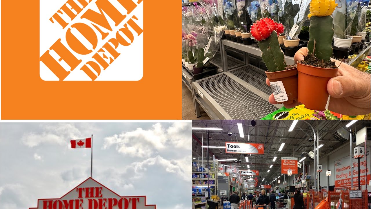 Home Depot prices for this week YouTube