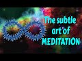 The subtle art of Meditation