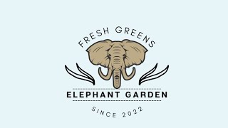Elephant Gardens Unboxing