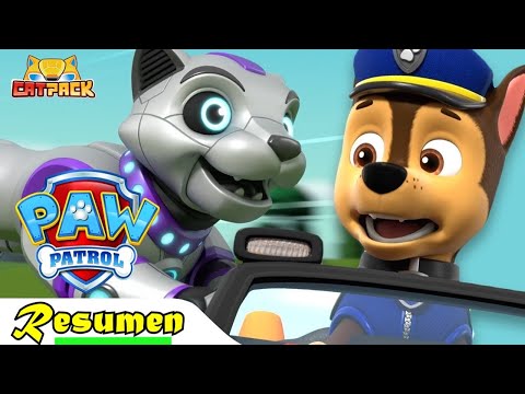 PAW PATROL 2 CAT PACK in 8 Minutes | Recap in 1 Video