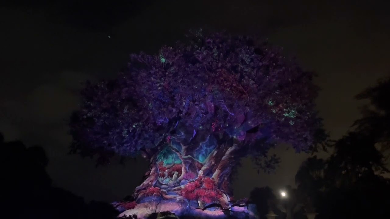 Walt Disney World’s Animal Kingdom Tree of Life