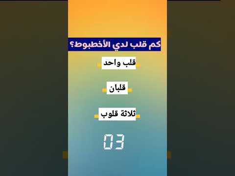 حلها الأخطبوط