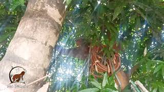 പതയര അതഥ വടടൽ വനന.. ആള കണടല നമകക