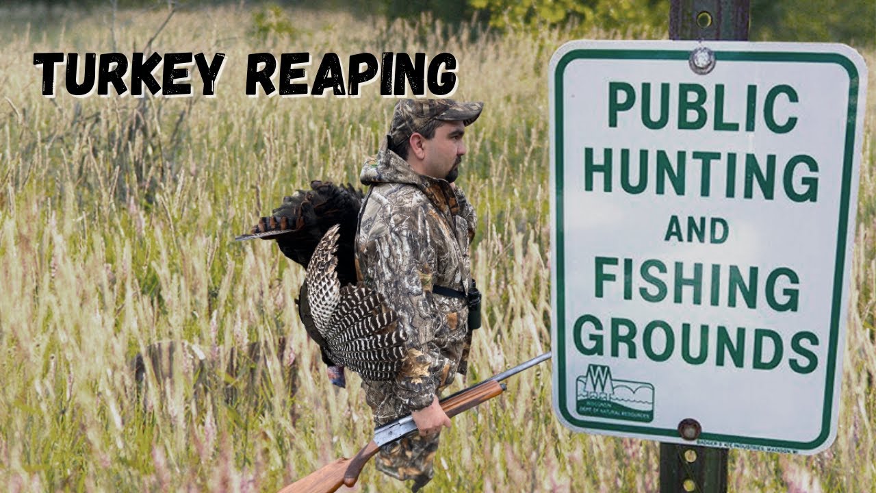 Turkey Hunting / Public land / Up Close Turkey Reaping Action YouTube