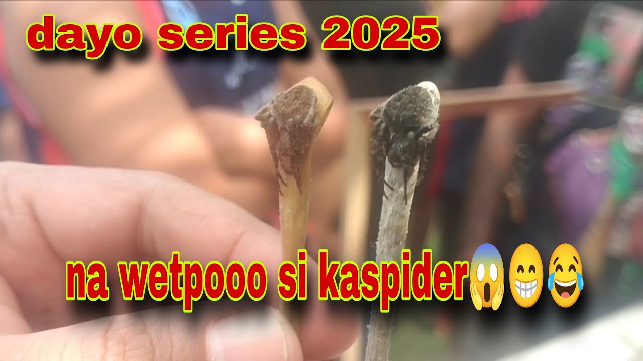 Dayo series/ na wetpoo si kaspider ero naka 3in1gload kaya ok lang ✌️😁😂