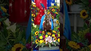 San Martin Caballero