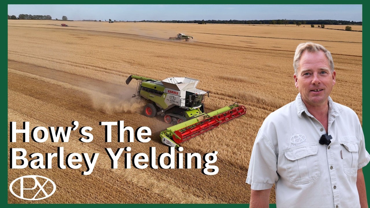 Harvest & Cultivations in Full Swing, Welding Breakdowns & Barley Updates
