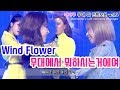 마마무는 무대에서.......? 무대 잔망 모음_3탄_Wind flower (Mamamoo's cute moments on stages_Wind Flower)