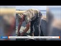 НикВести: Работники экоинспекции обвинили рыбака в незаконном вылове креветки