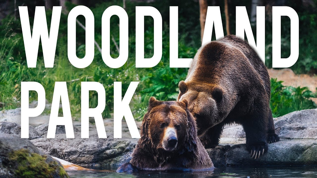 woodland park zoo virtual tour