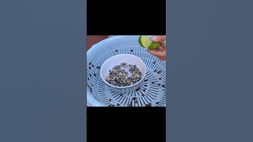 Hoa chuối nấu ốc : Vò ốc #buacomgiadinh #amthuc #mephatnauan