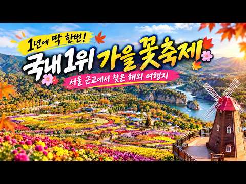 국내 1위 가을꽃축제ㅣ어마어마한 대규모 가을꽃밭ㅣ서울 근교 가을축제ㅣ9월 10월 가볼만한곳ㅣ가을여행지 추천ㅣ철원 고석정 꽃축제ㅣ고석정 꽃밭