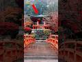 5 PLACES THAT DON’T FEEL REAL 😱 (YOU MUST VISIT BEFORE 2026 ENDS)