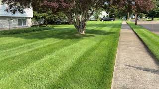 IMG 4635