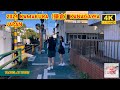 4kr japan travel 2024  walk in kamakurakanagawa japan   relaxing natural city ambience