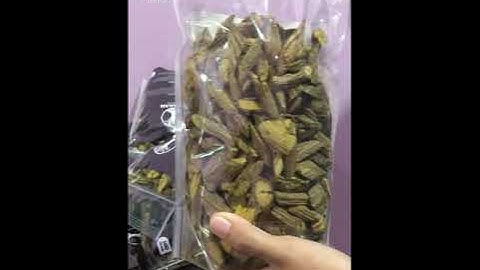 MANFAAT BAJAKAH AKAR KUNING