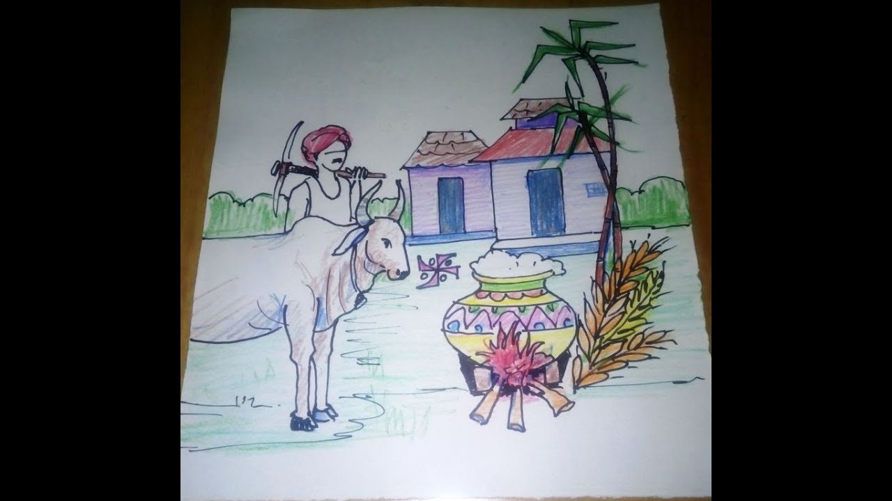 Pongal Festival Chart