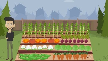 A brief introduction  to the  Pareto Rule 1 hour training