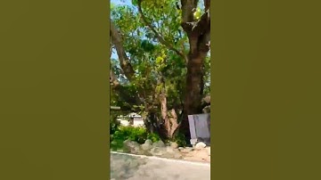 || Please कोई हमे भी Support करो || My lifefirst vlogMY FIRST VLOG ||