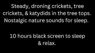 Steady droning crickets, tree crickets, katydids, black screen sleep relax 10 hour cricket sounds